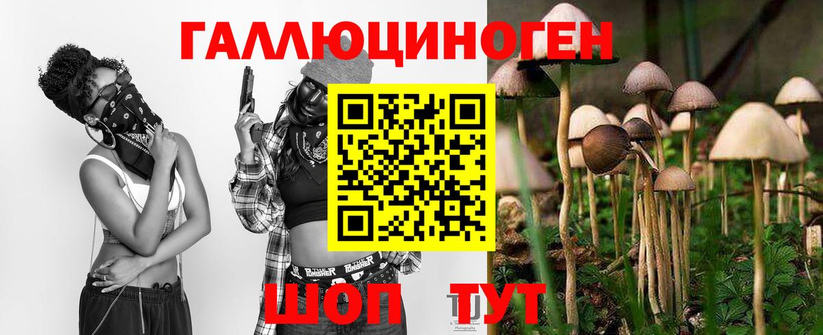 Псилоцибиновые грибы GOLDEN TEACHER Звенигород