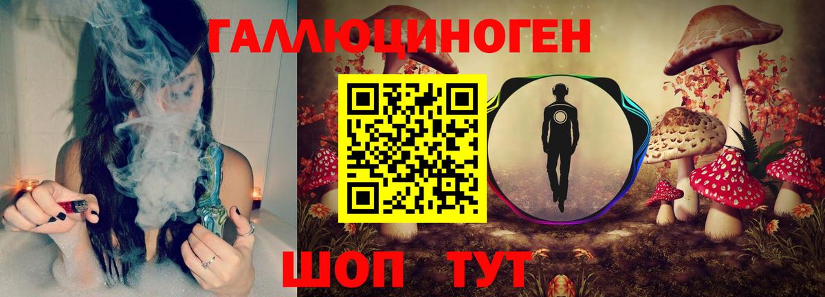 Звенигород  Галлюциногенные грибы прущие грибы  Вход с VPN 
